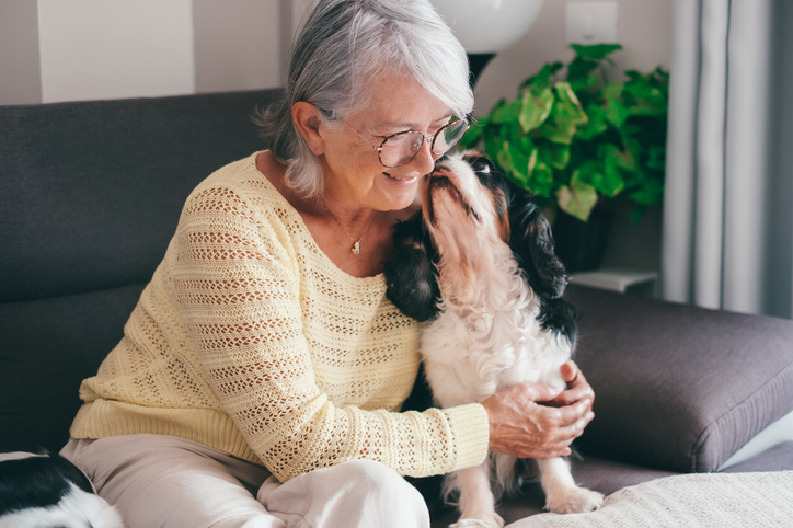 dog kissing senior woman