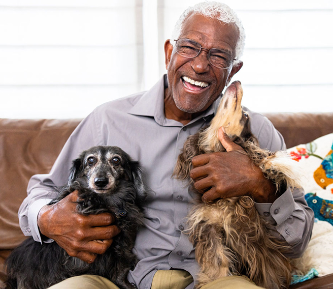 senior man with 2 dachshunds